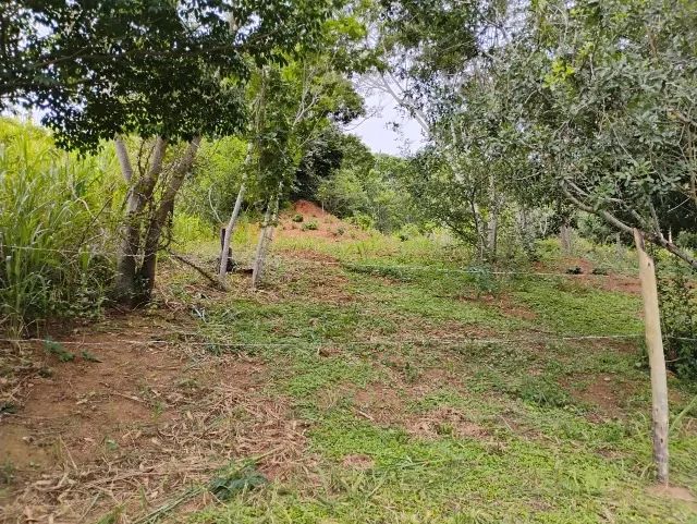 Terreno arborizado em Praia Linda - São Pedro da Aldeia - Foto 2
