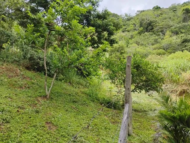 Terreno arborizado em Praia Linda - São Pedro da Aldeia - Foto 4