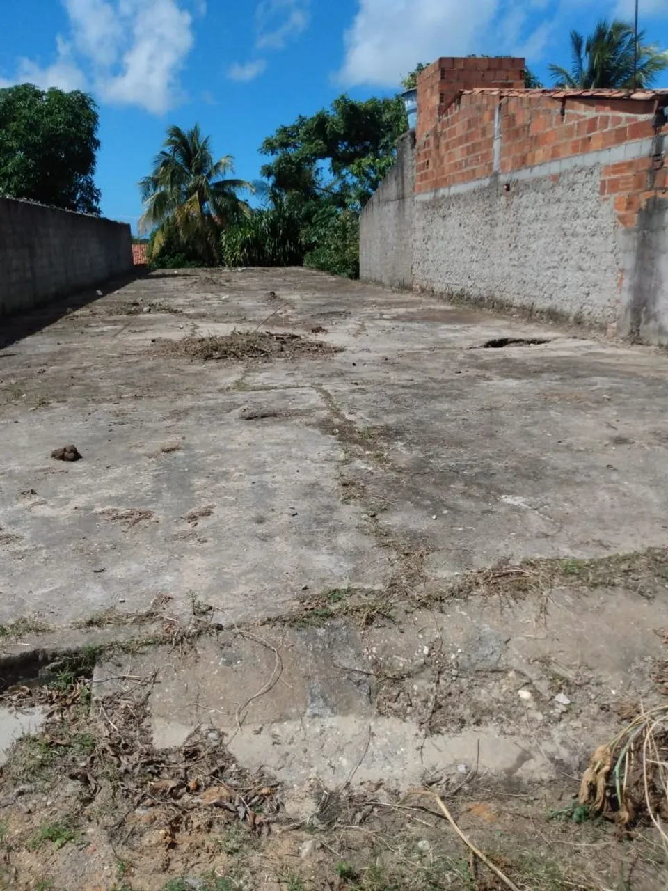 Vendo