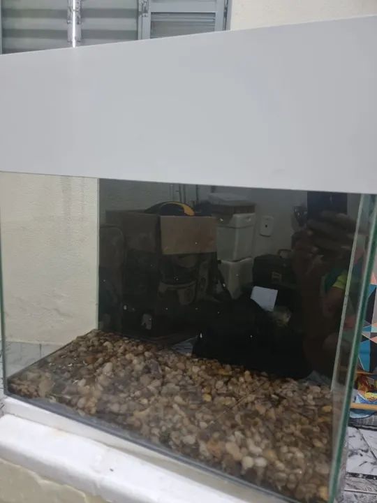 Aquário 60 litros com sump traseiro  - Foto 2