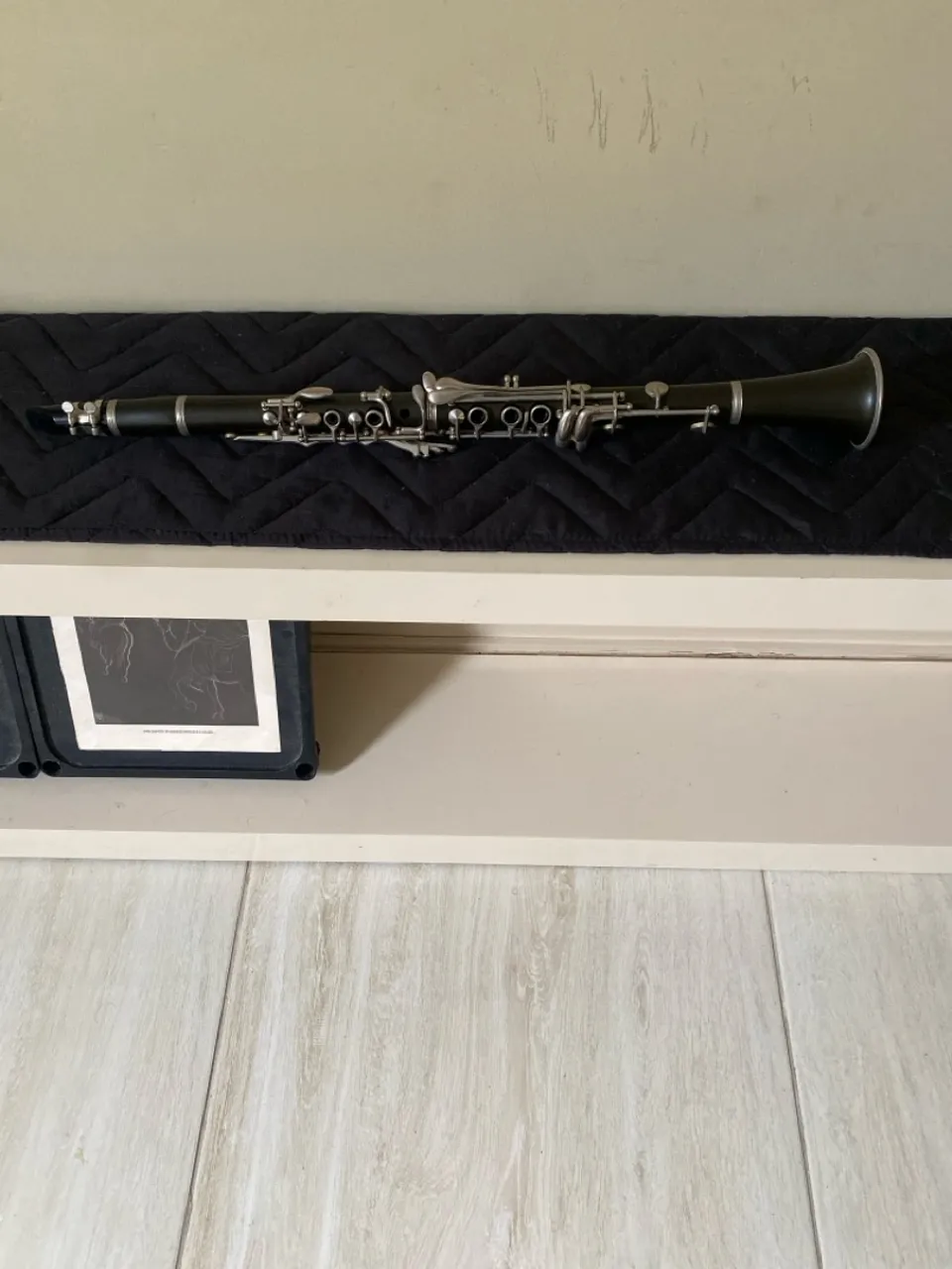Clarinete Profissional em Ótimo Estado