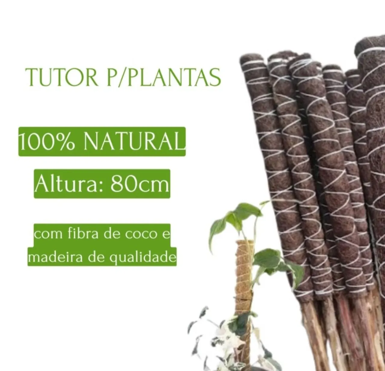 Tutor para Plantas 100% Natural 80cm