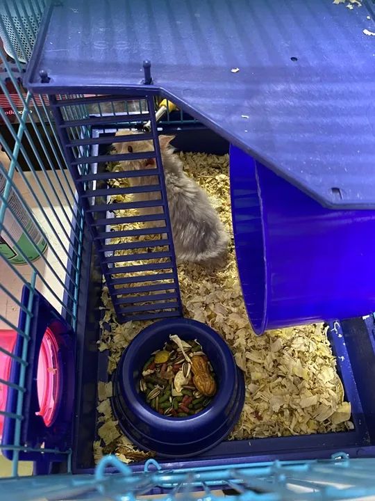 2 Gaiolas para Hamster com Túnel - Foto 2