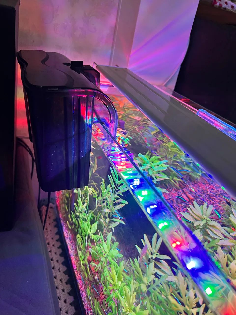 Aquário 50l + Acessórios  - Foto 3