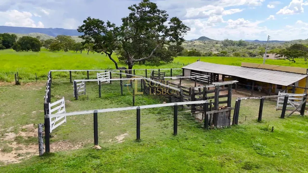 SÍTIO C/ 27 HECTARES ESCRITURADO PORTEIRA FECHADA 52km TAGUATINGA DEPOIS BRAZLÂNDIA BEIRA  - Foto 3