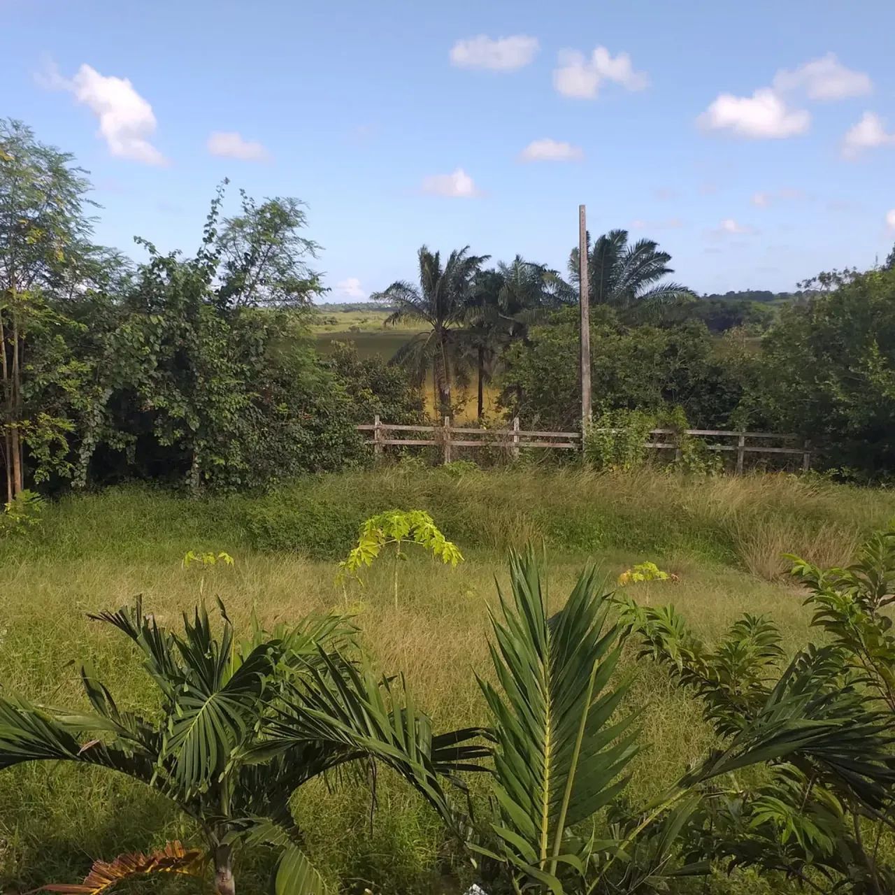 Chacará com 45 Hectares Grameme - Escritura Pública - Foto 3