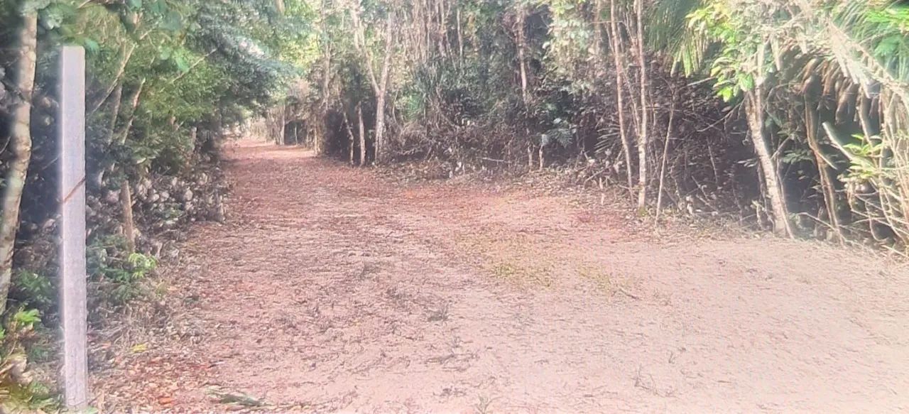 Vendo dois lotes em Alter-do-chão 