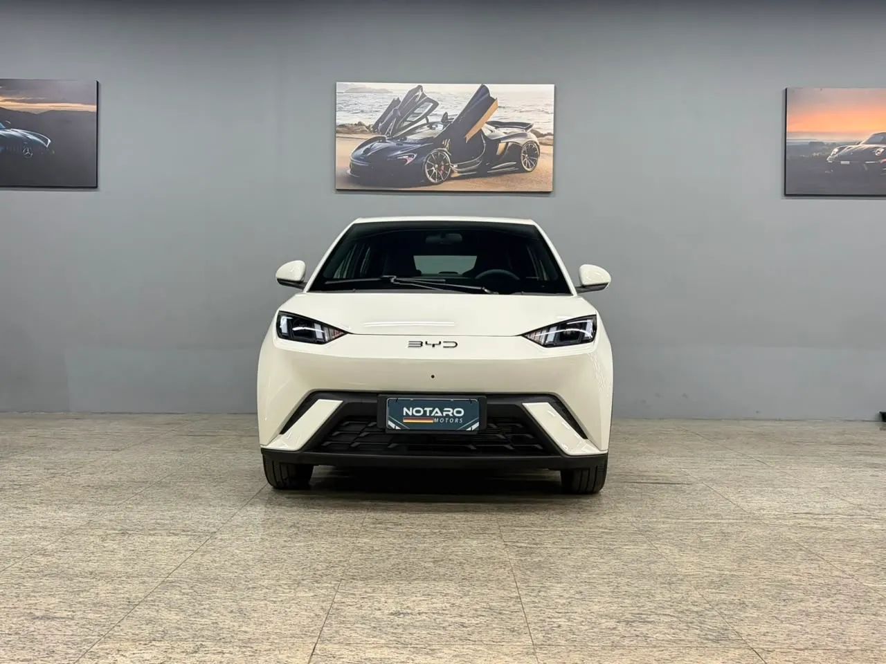 BYD Dolphin Mini (Elétrico) 2027 - Foto 3