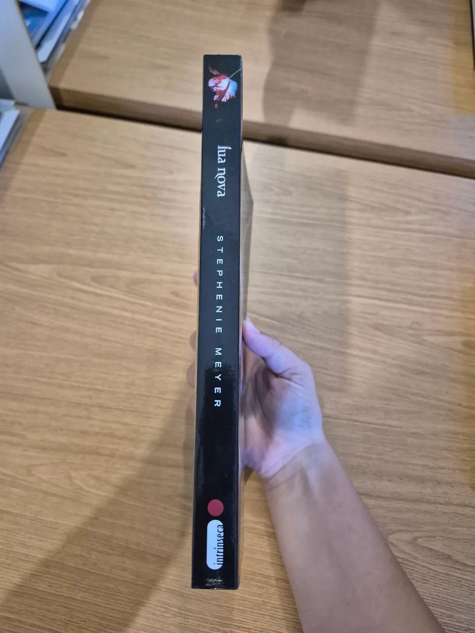 Livros: Crepúsculo e Lua Nova - Foto 3