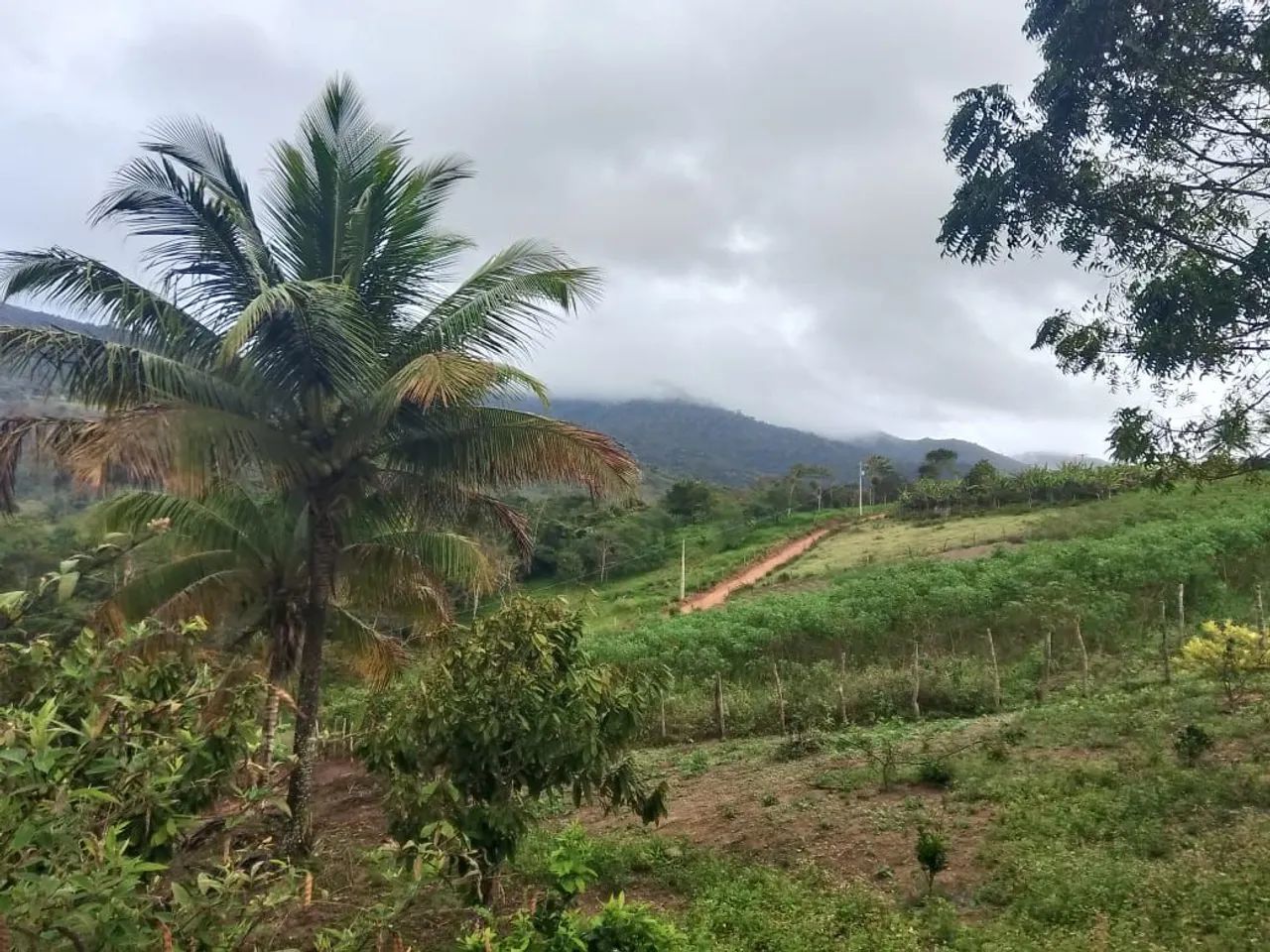 sitio a venda 