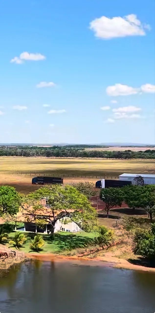 Fazenda no sul do Tocantins  - Foto 4