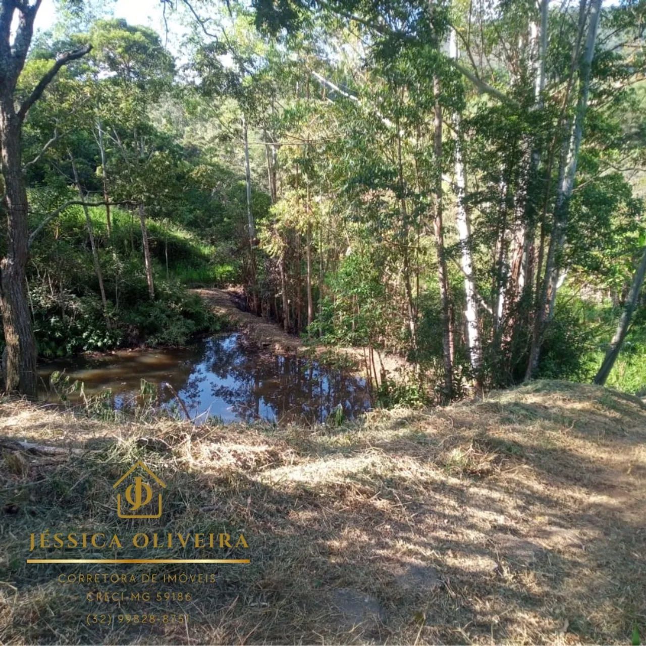 Sítio à Venda em Olaria- MG  - Foto 4