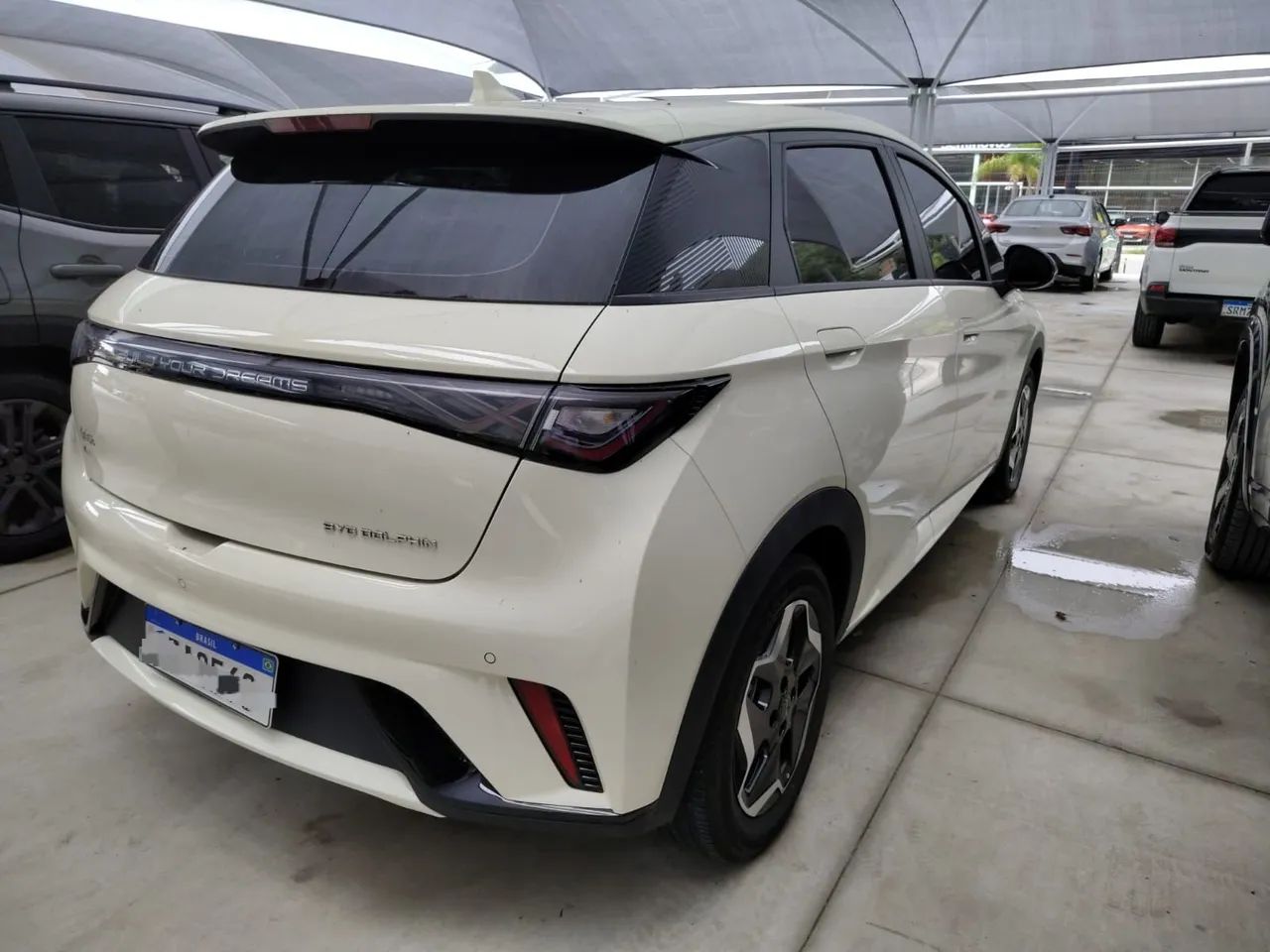BYD Dolphin EV (Elétrico) 2024 - Foto 4