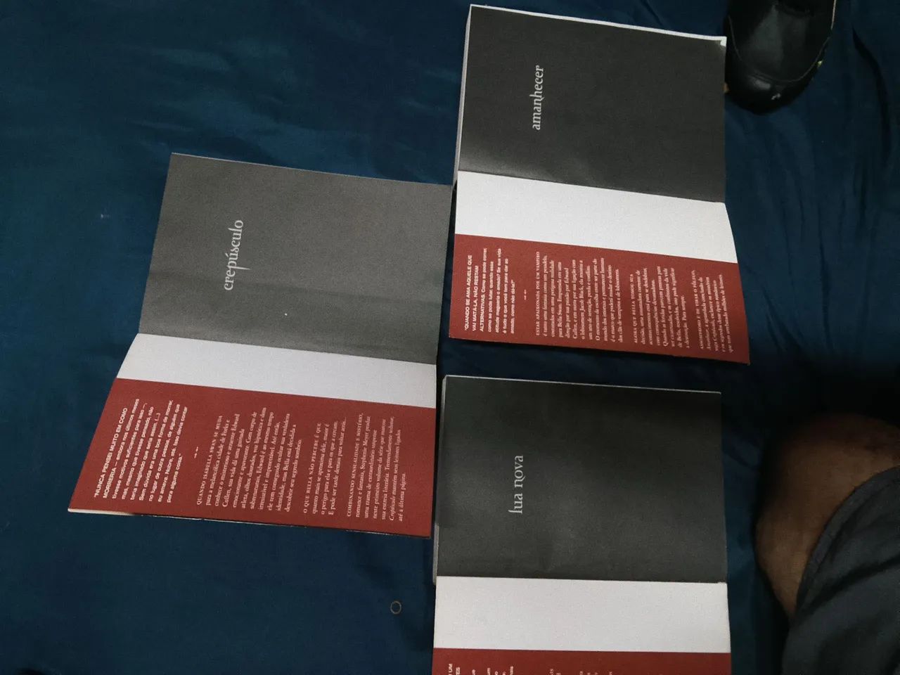 Livro  - Foto 2