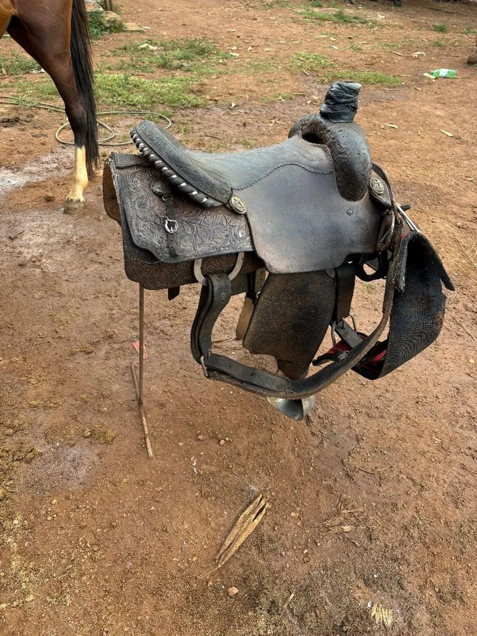 Sela de laço  - Foto 2