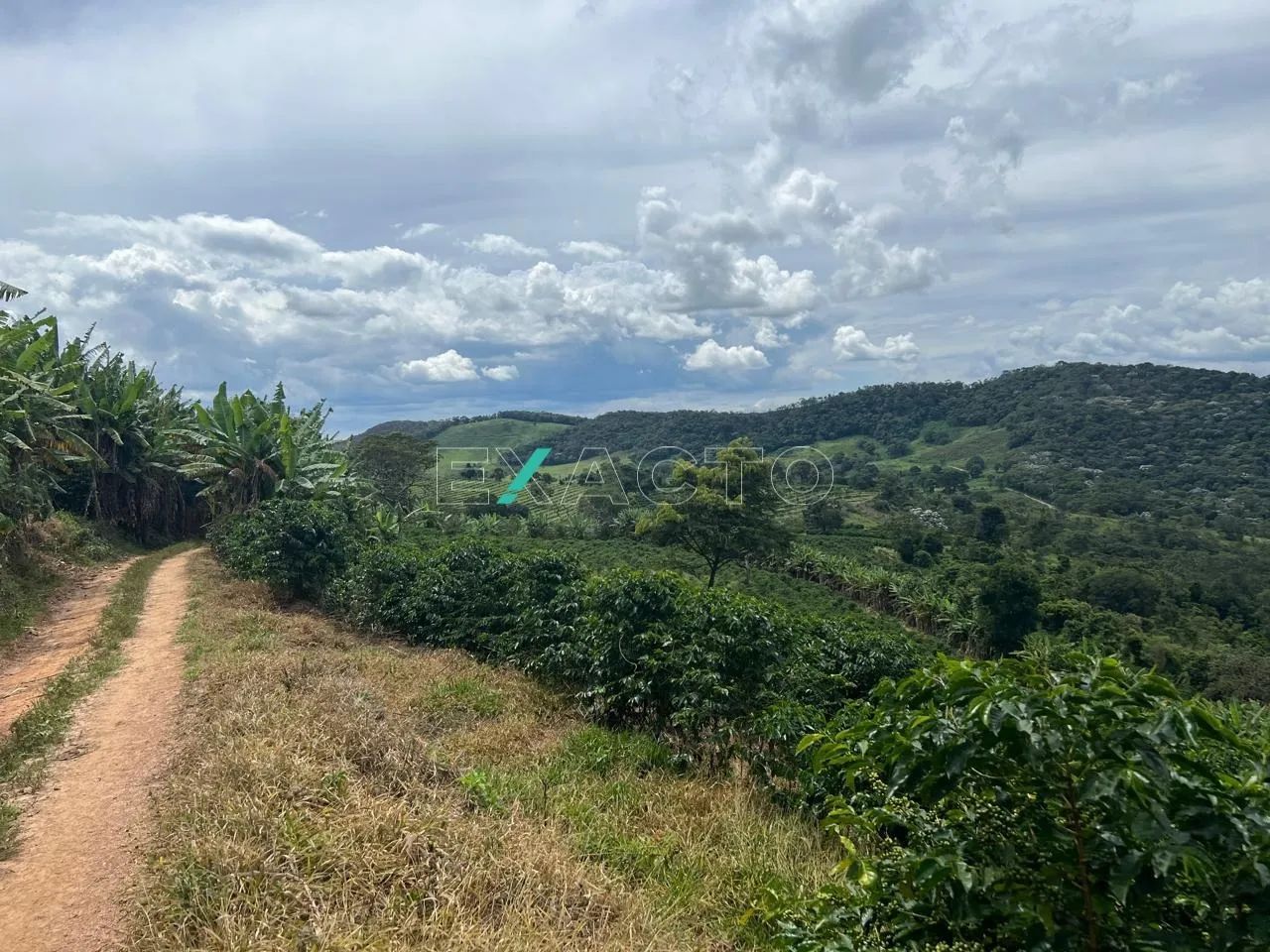 fazenda - Centro - Carmo de Minas - Foto 2