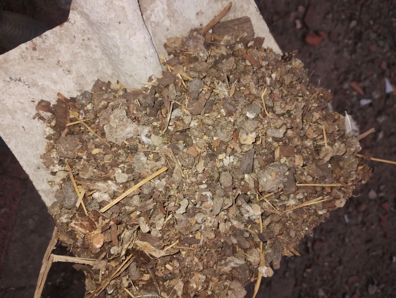 Esterco de galinha - Foto 2