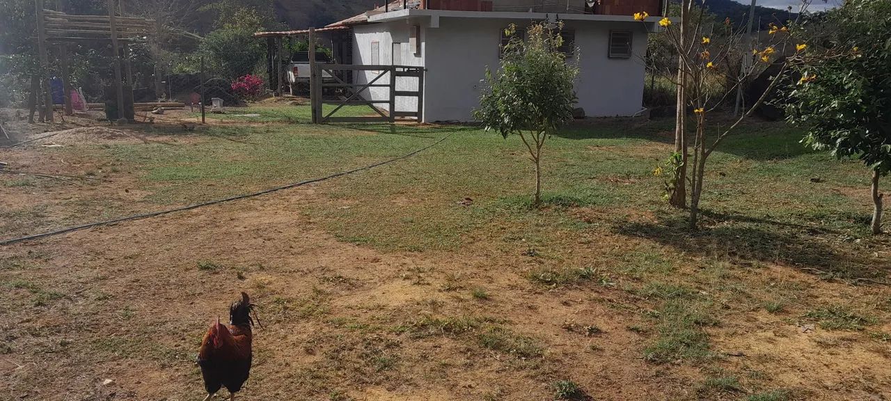 Sítio 2,5 alqueires com casa - Foto 2