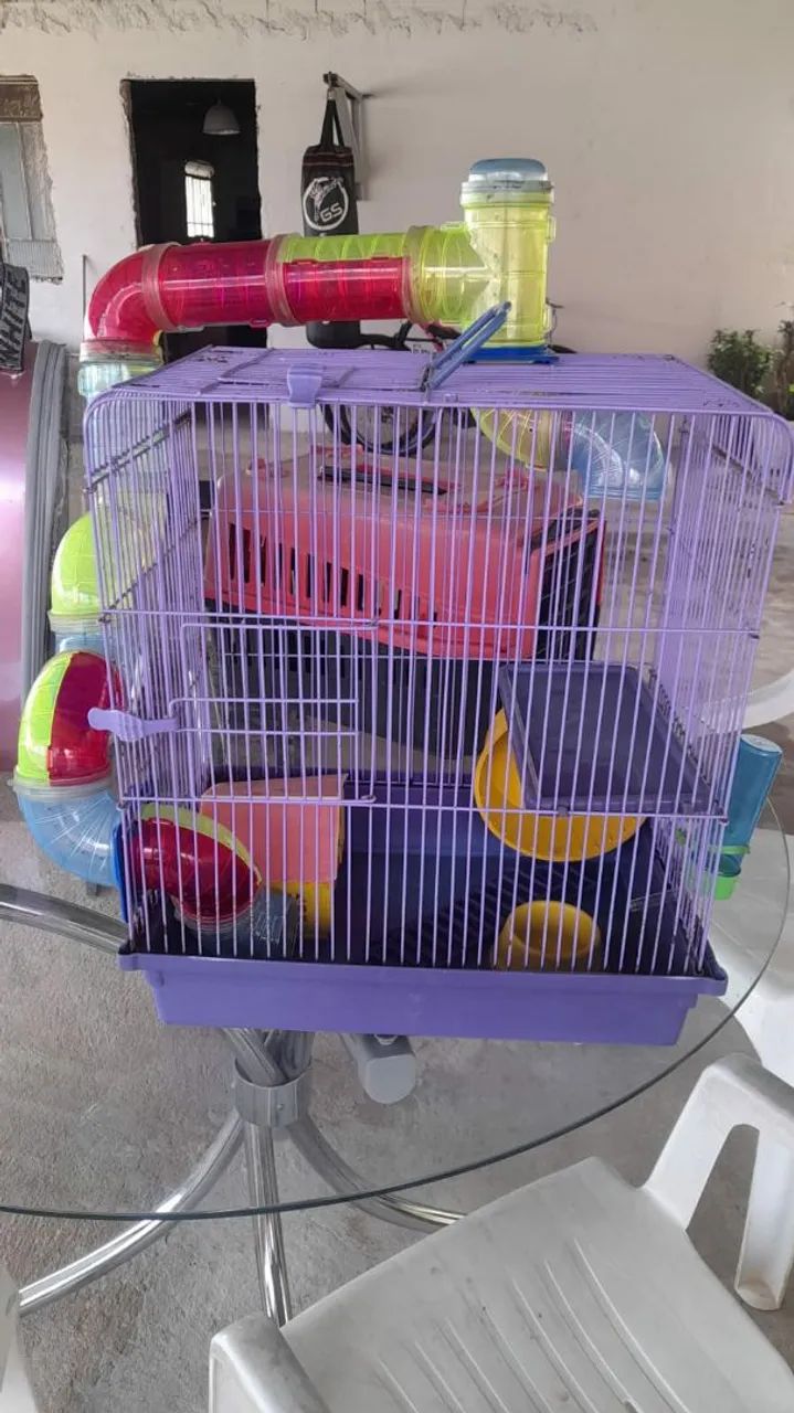 Gaiola hamster65578343108225121