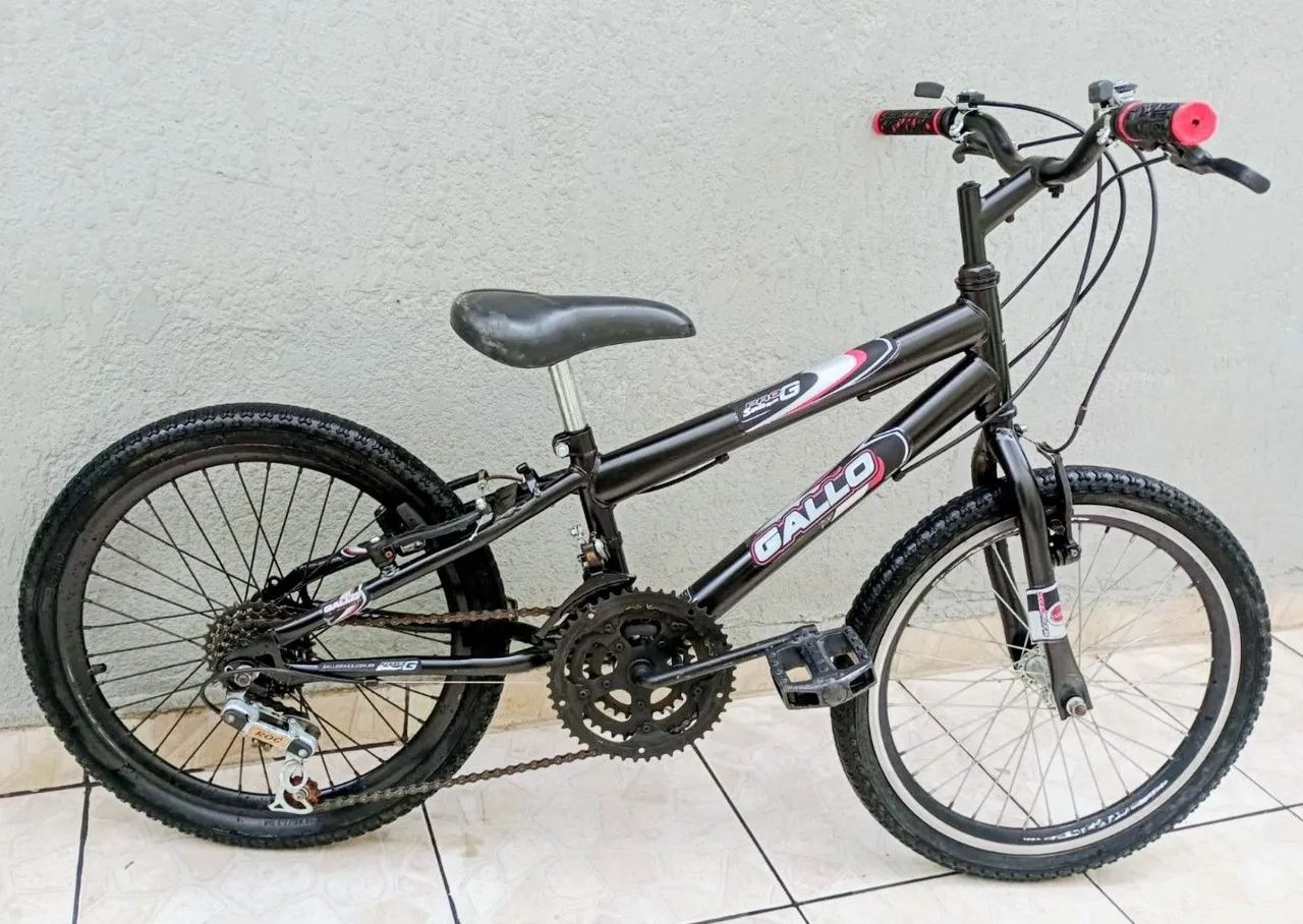 Bike aro 20 Gallo  - Foto 3