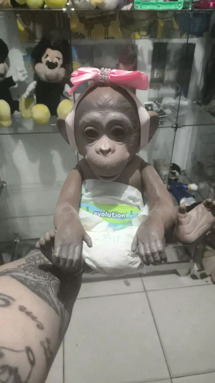 Macaquinho lindo
