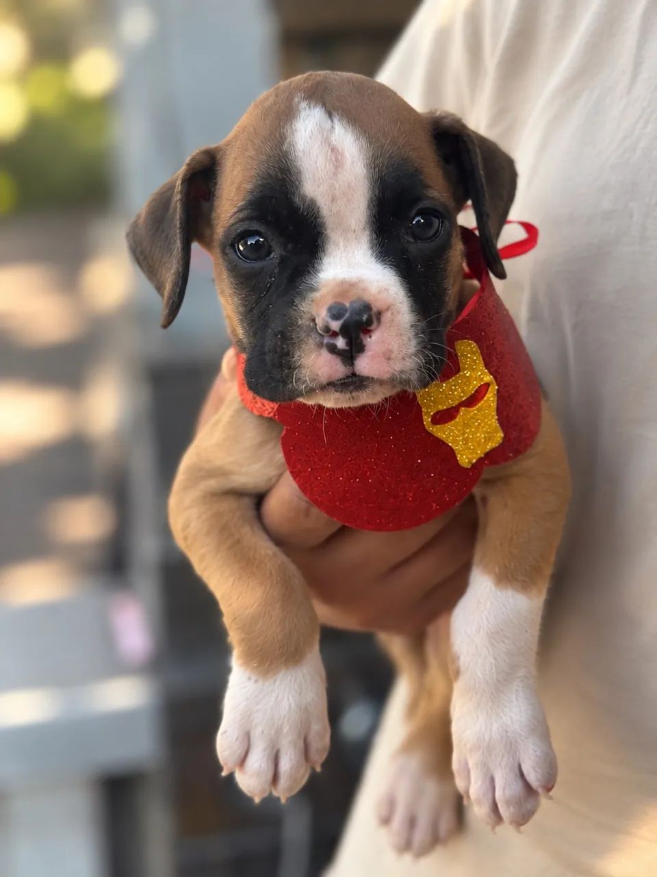 BOXER PARCELAMOS  - Foto 5