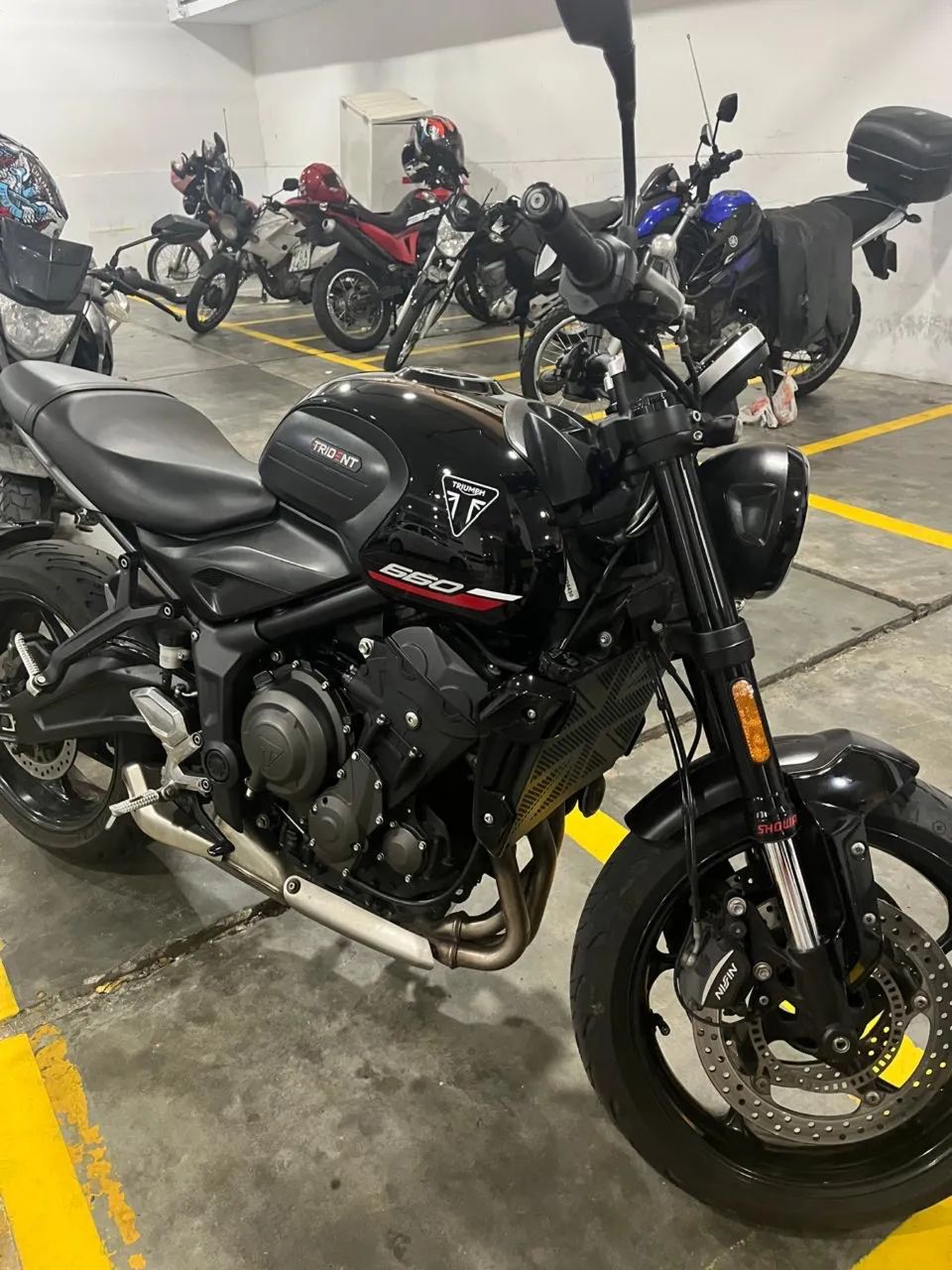 Triumph Trident 660 - 2025/2025
