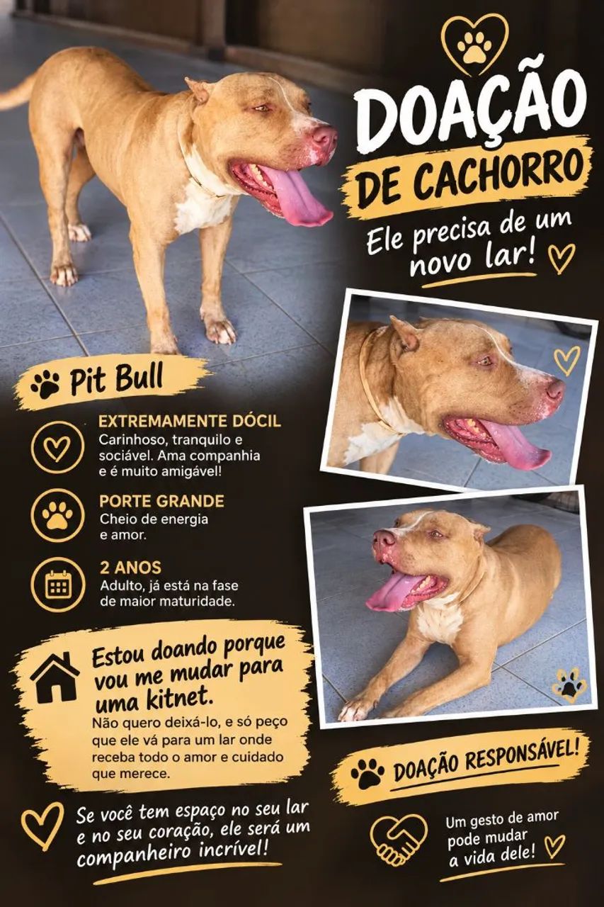 Pit Bull