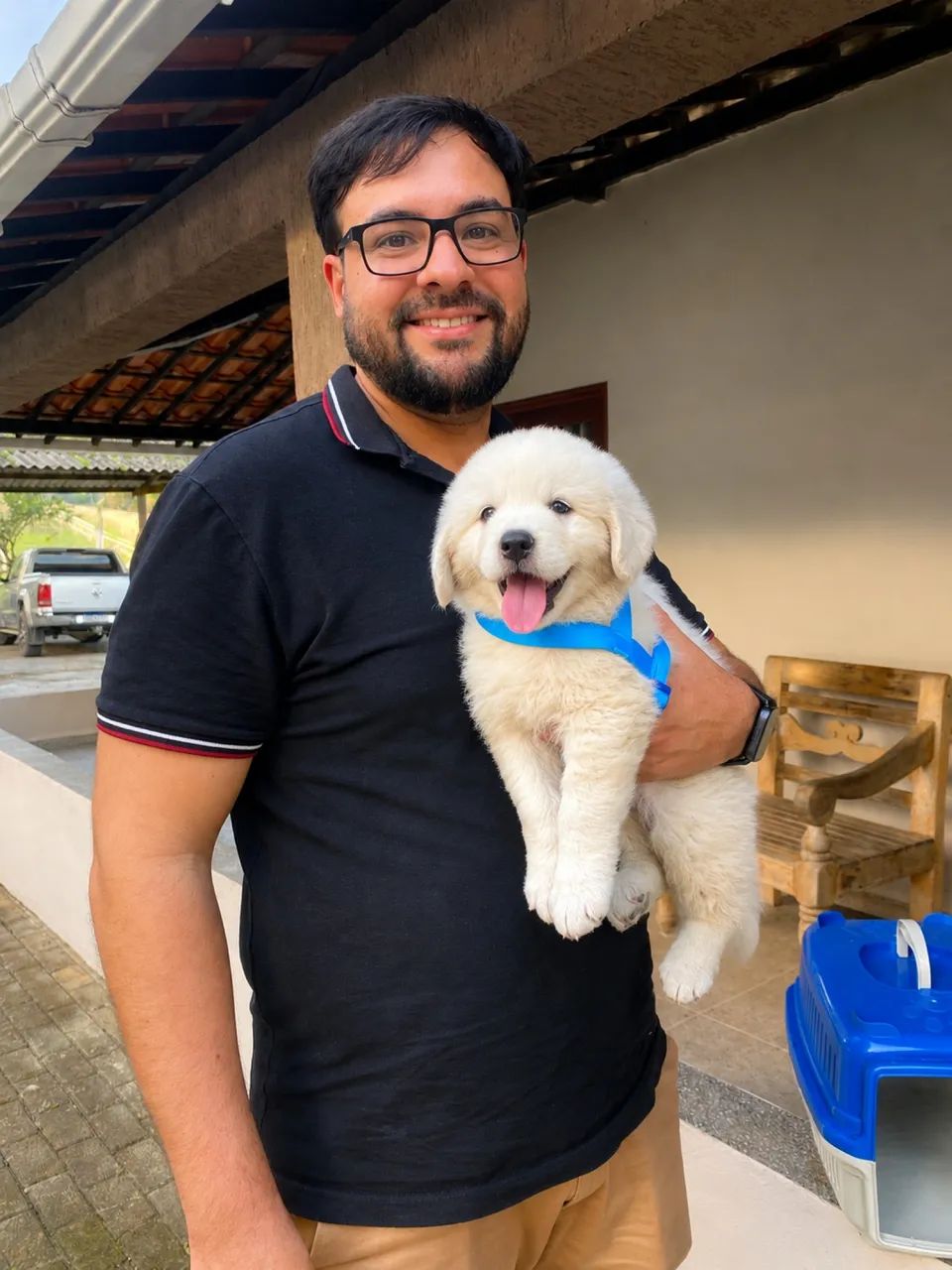Filhotes de Pastor Maremano - Foto 4