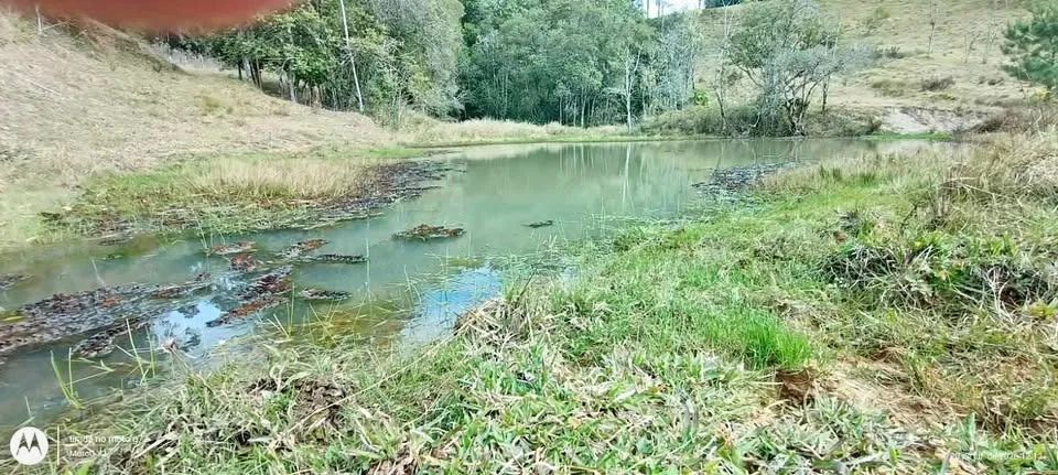 Vende-se terreno de 28.892 m² em Alfredo Wagner, SC - Foto 2