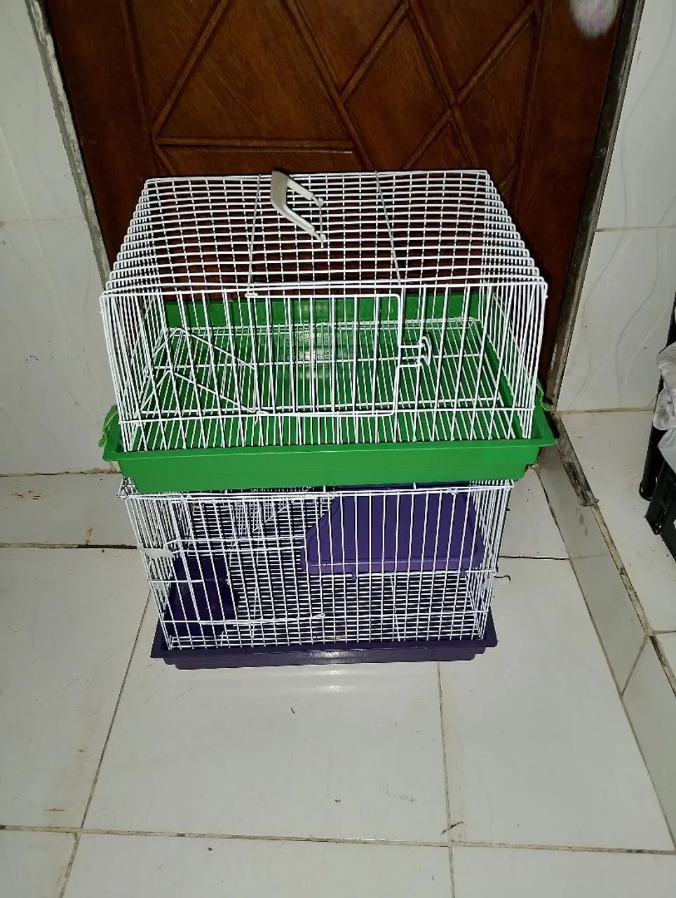 Gaiola porquinho da índia 