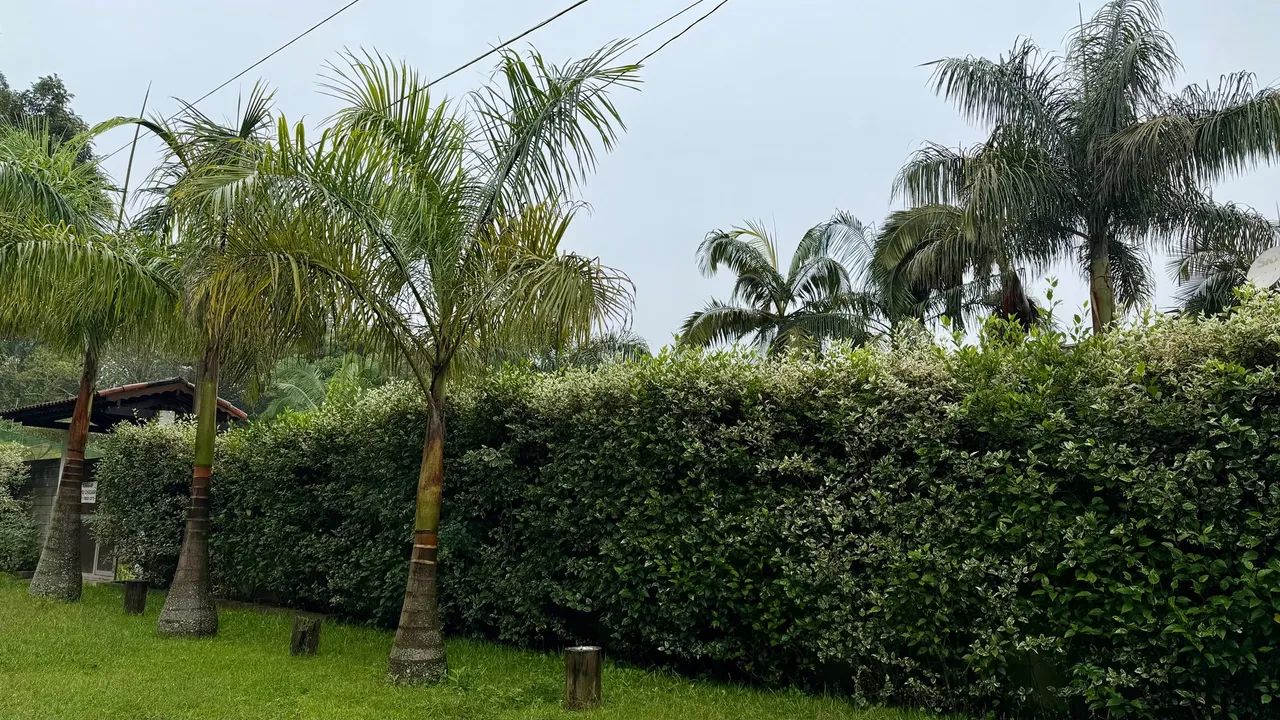 Chácara à venda com 480m², 4 quartos e 10 vagas - Foto 2