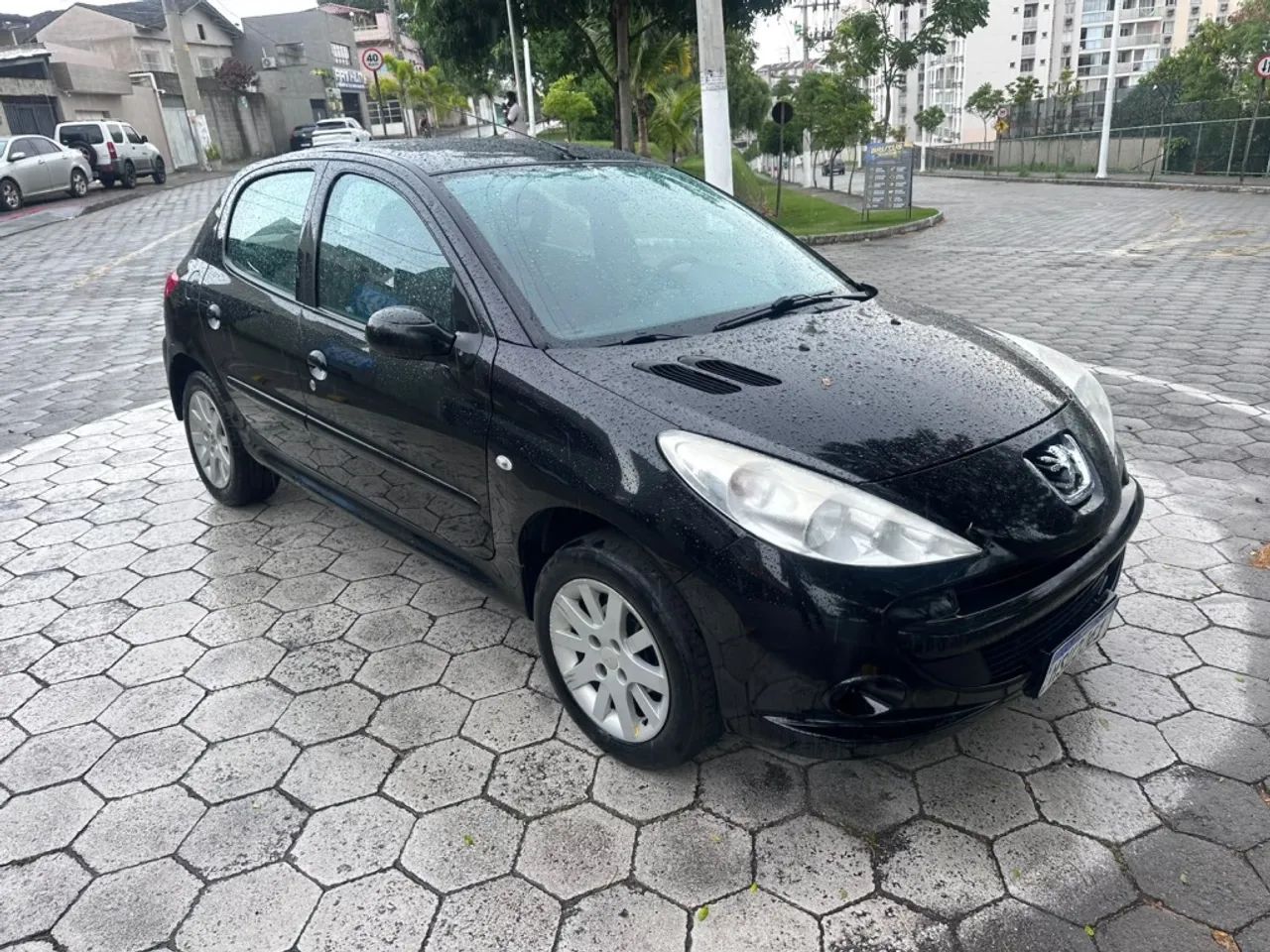 Peugeot 207 207 XR 1.4 FLEX 8V 5P 2010