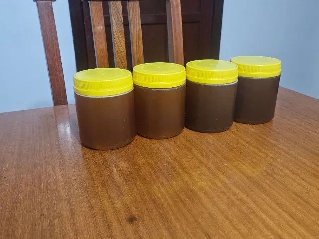 Mel Puro Recém Colhido - Foto 2