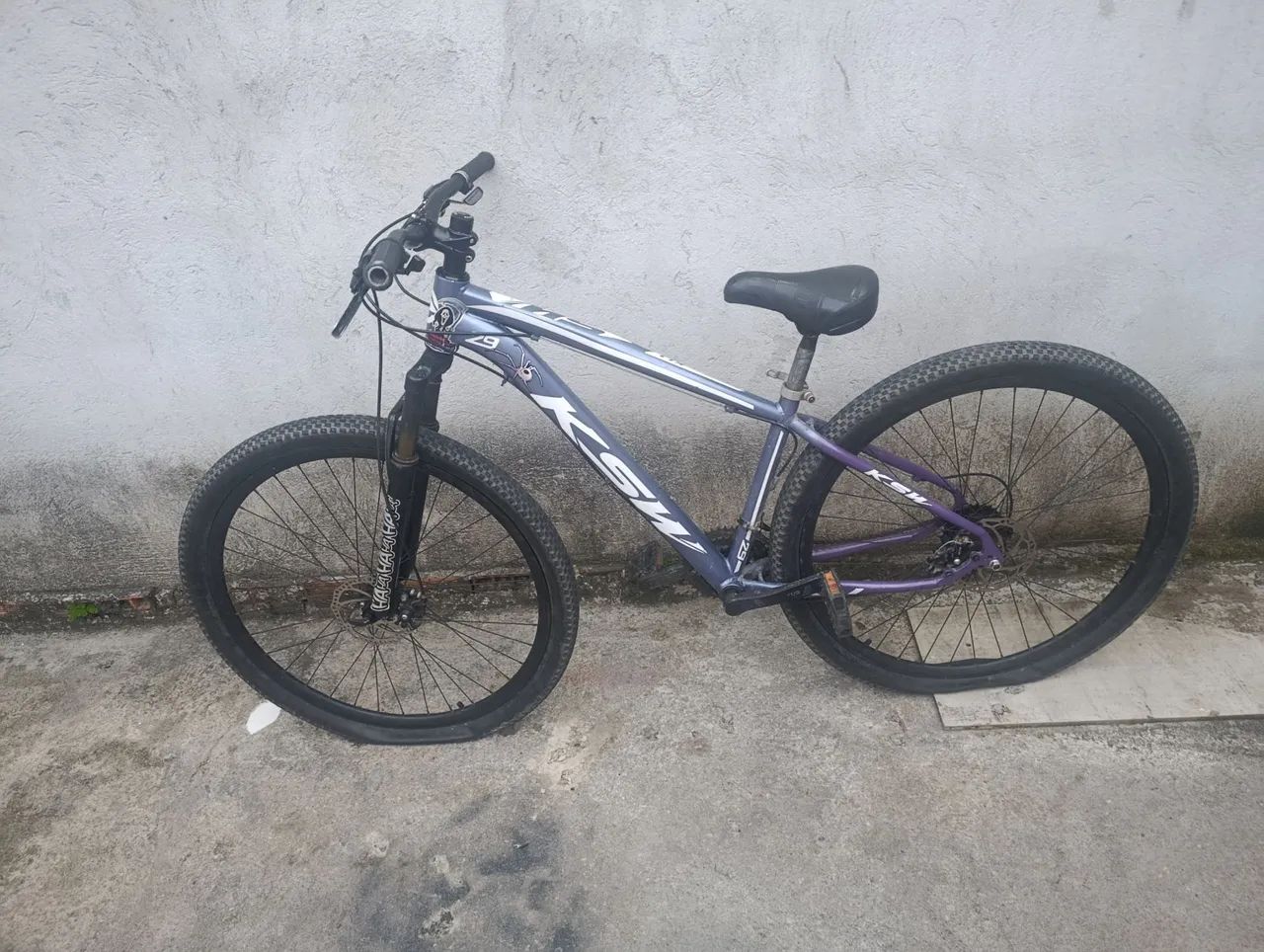 Bicicleta 