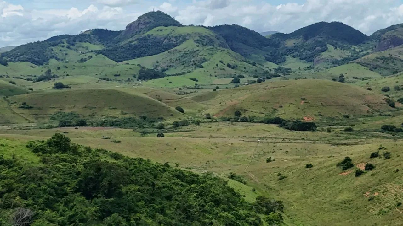 Oportunidade Única: Fazenda de Alta Produtividade agropecuária. - Foto 5