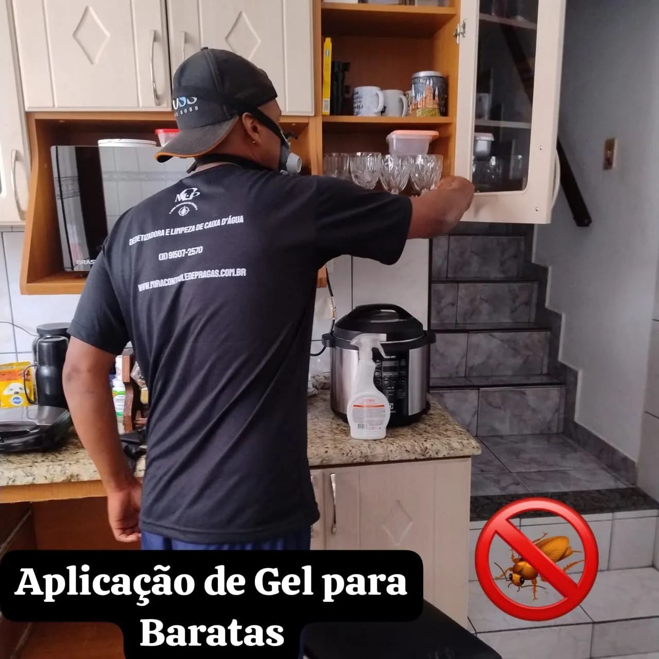 Mira Controle de Pragas - Foto 2