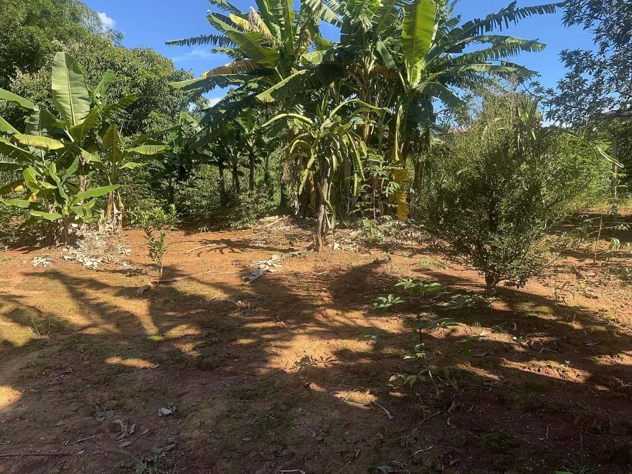 Oportunidade única  - Foto 2
