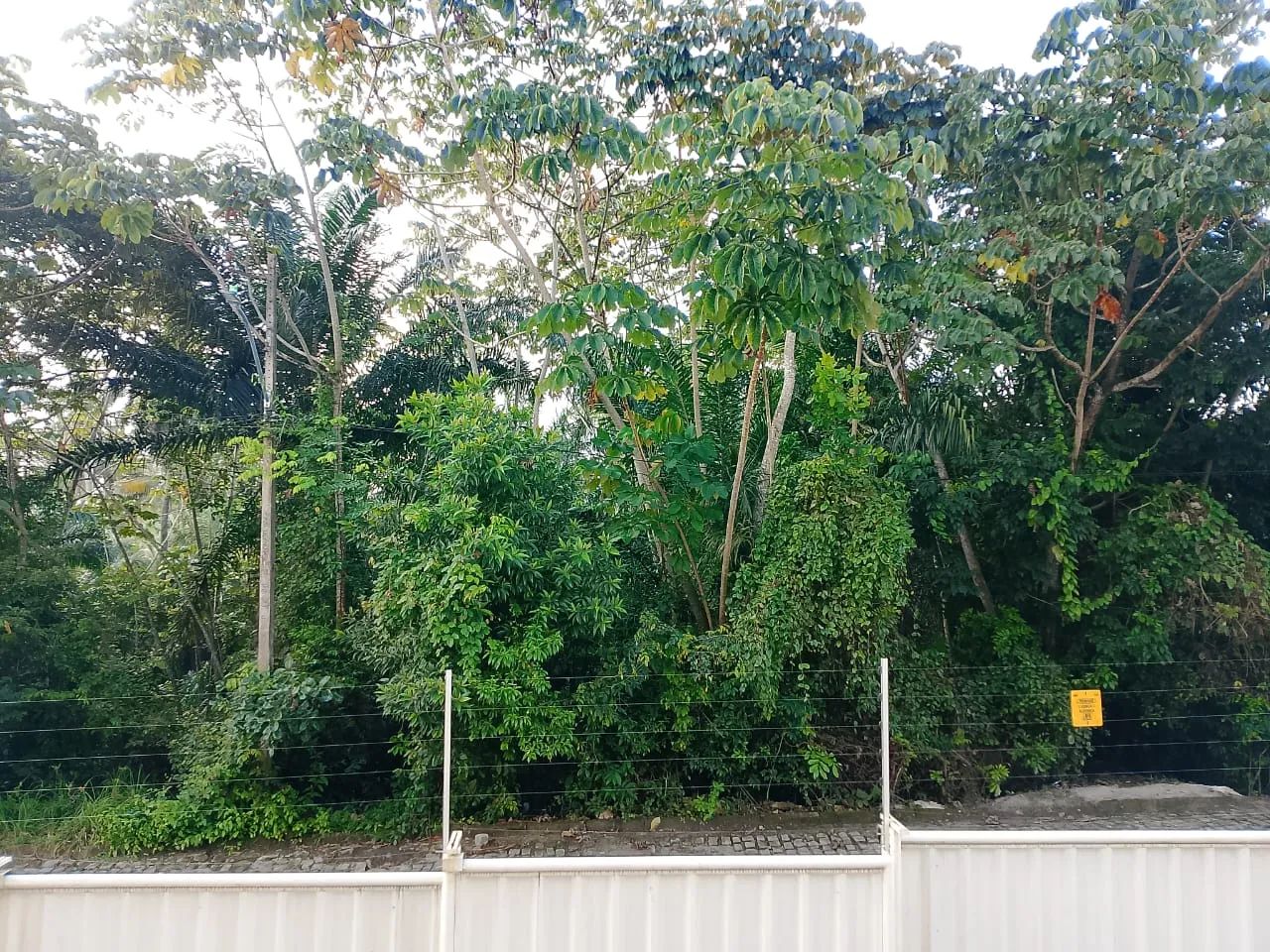 Apartamento em Gramame - Foto 5
