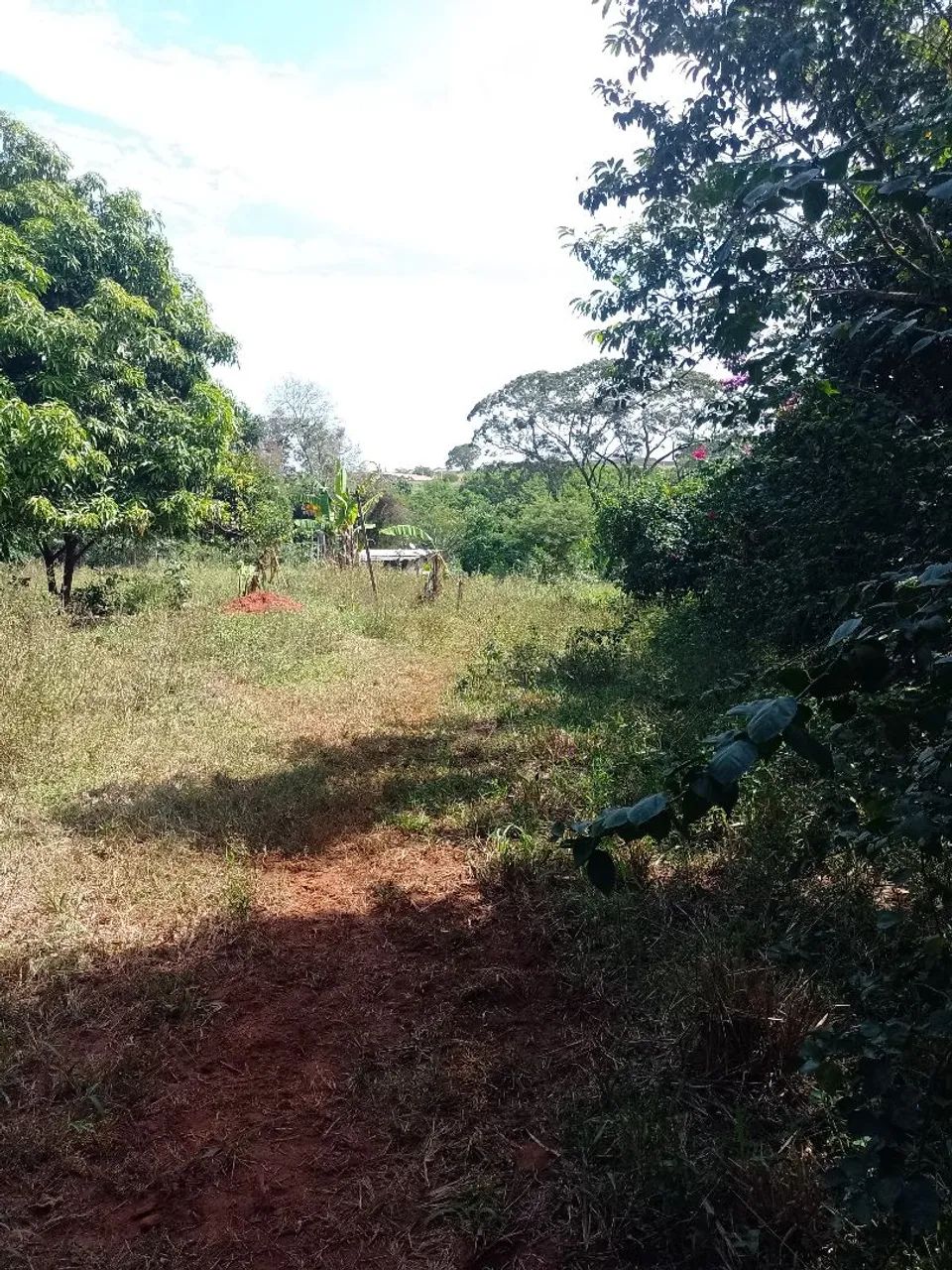 Vendo chácara  - Foto 2
