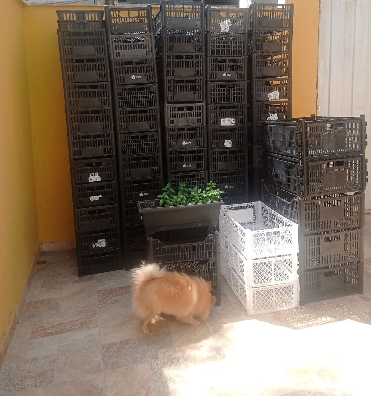 Caixa de plástico  - Foto 3