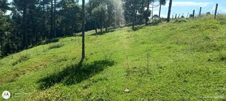 Vende-se terreno de 28.892 m² em Alfredo Wagner, SC - Foto 5