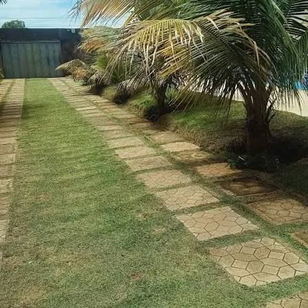 Jardineiro Paisagismo e Serviços Gerais - Foto 2