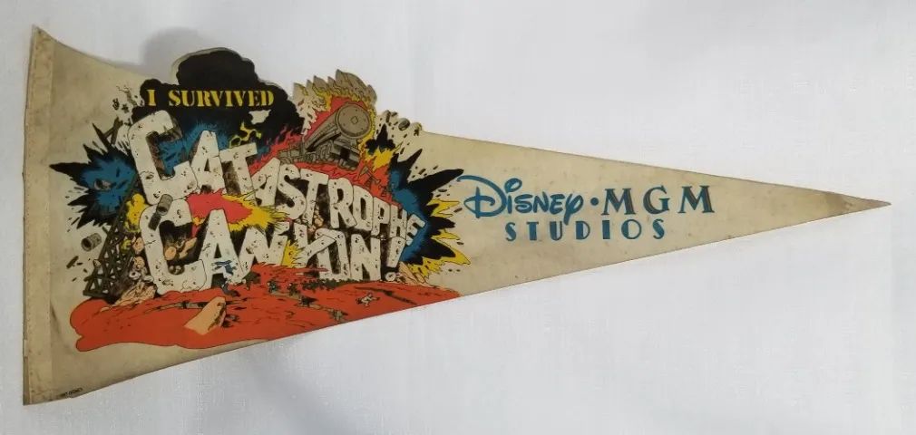 Flâmula Disney - MGM Studios 1987 I Survived