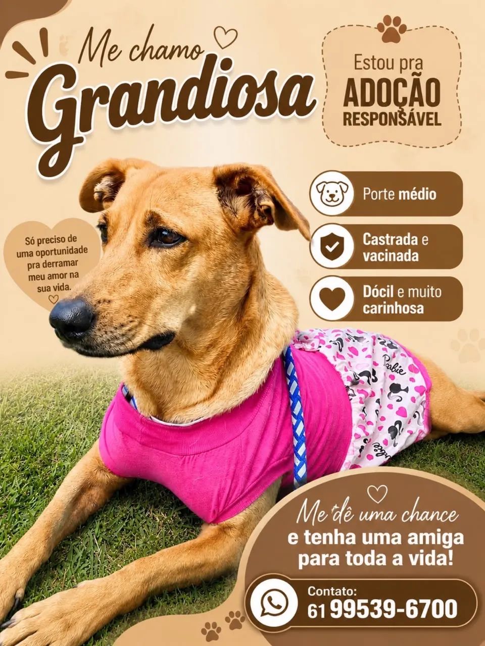 Cachorra  - Foto 2