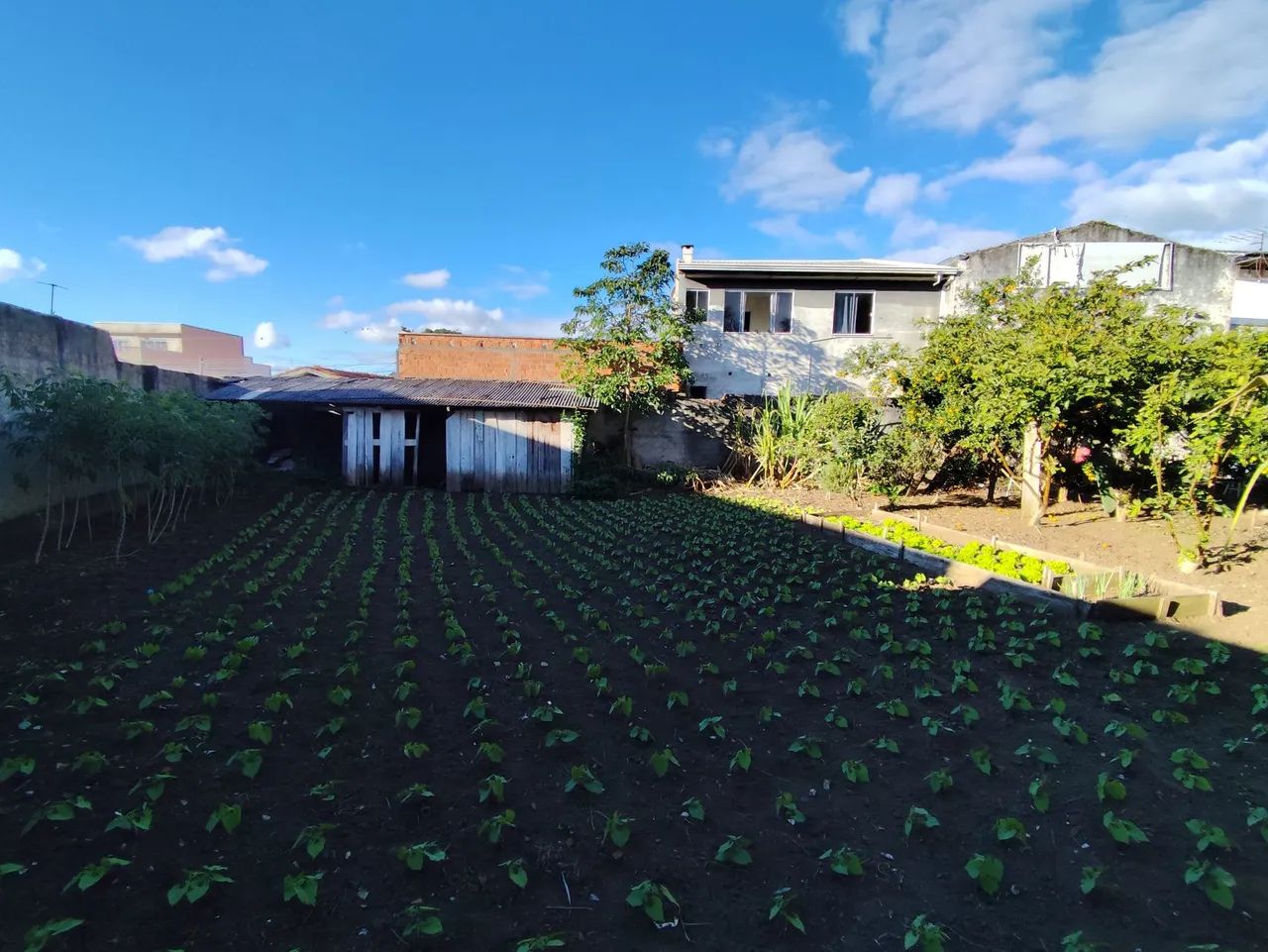 Terreno 243m2 Pinheirinho  - Foto 4