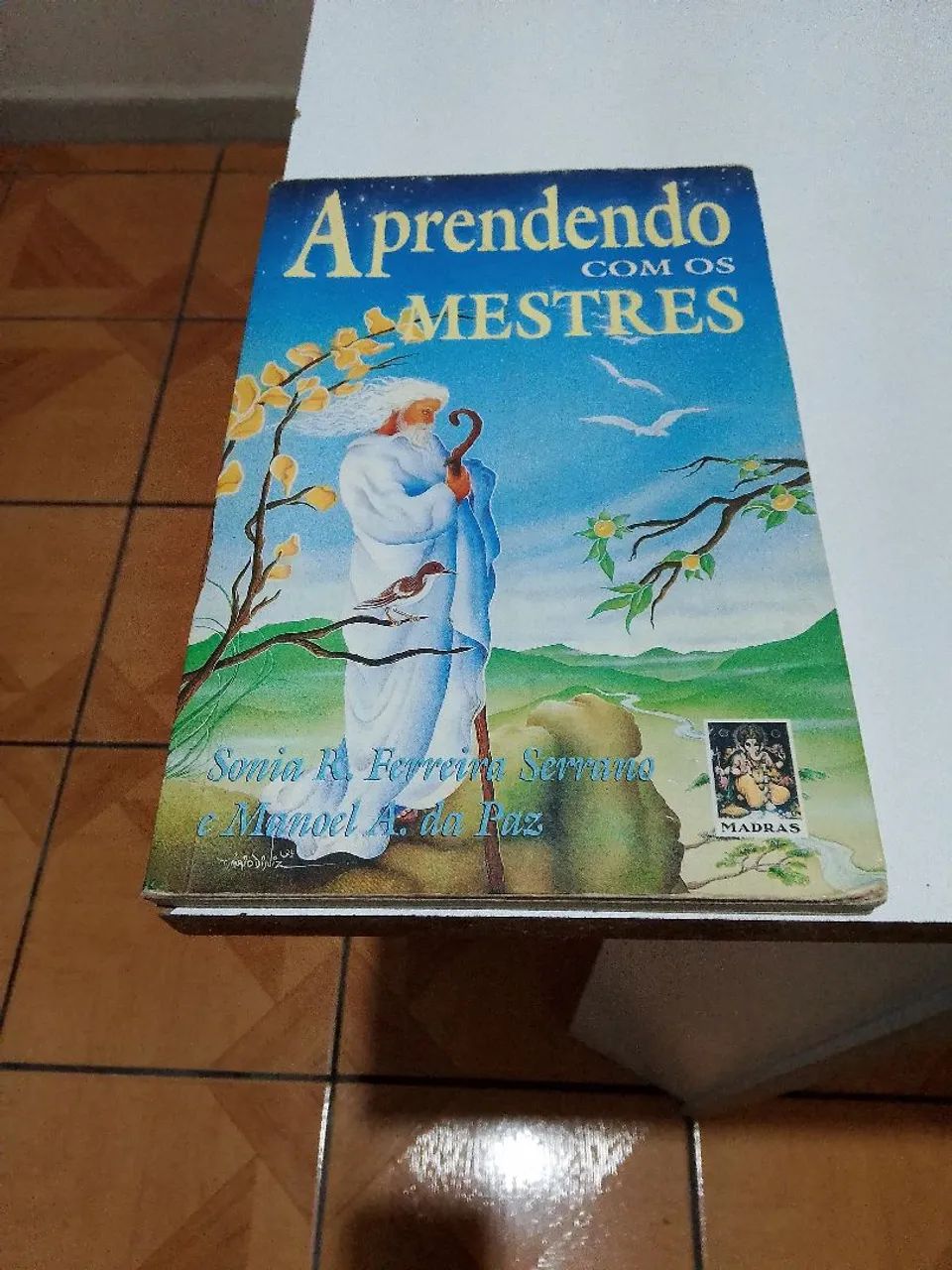 Aprendendo com os mestres 