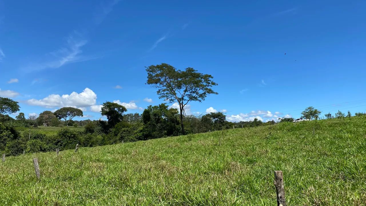 Chácara de 2.100mt com córrego no fundo em Cristianopolis  - Foto 4