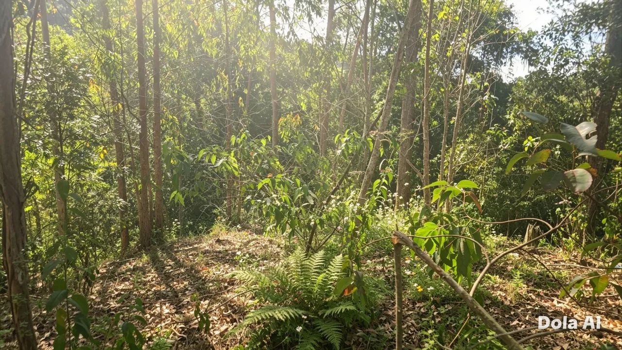 SÍTIOS E CHÁCARAS ESCRITURADOS EM ALTO TIJUCO PRETO- DOMINGOS MARTINS, PARCELO, TROCO LEIA - Foto 11
