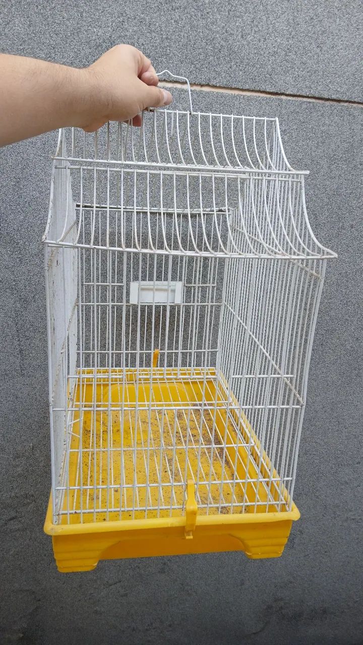 Gaiola  - Foto 3
